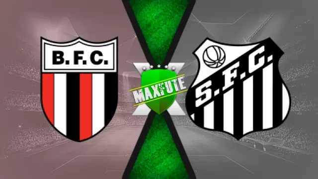 Assistir Botafogo-SP x Santos ao vivo HD 19/09/2024