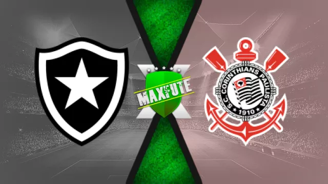 Assistir Botafogo x Corinthians ao vivo HD 14/09/2024