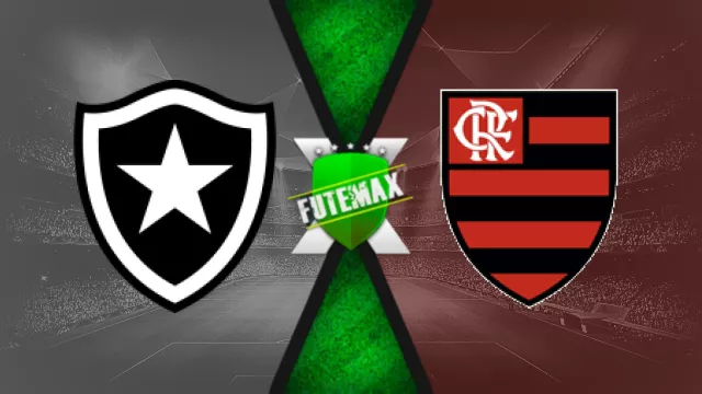 Assistir Botafogo x Flamengo ao vivo online 18/08/2024 grátis