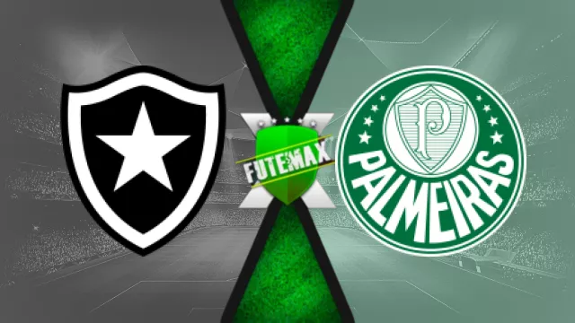 Assistir Botafogo x Palmeiras ao vivo HD 14/08/2024