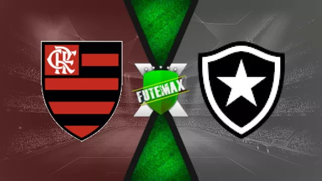 Assistir Flamengo x Botafogo ao vivo 08/07/2024