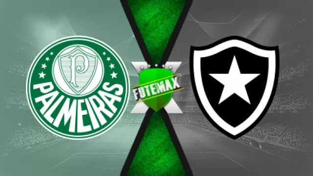 Assistir Palmeiras x Botafogo ao vivo HD grátis 21/08/2024